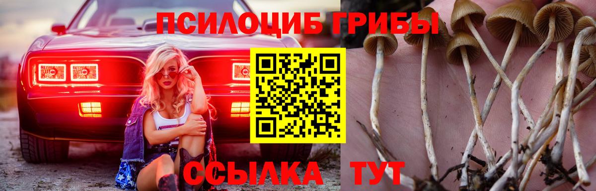 Ханты-Мансийск  Галлюциногенные грибы MAGIC MUSHROOMS  Вход с VPN 
